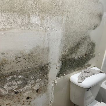 Mold growing on bathroom wall. Mold remediation approved.  
