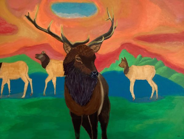 Elk Crossing-Olympic Fine Art-majestic buck-doe-mountain-orange-red-green-Alisa Hasbrouck