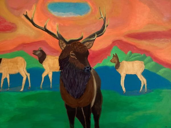 Elk Crossing-Olympic Fine Art-majestic buck-doe-mountain-orange-red-green-Alisa Hasbrouck