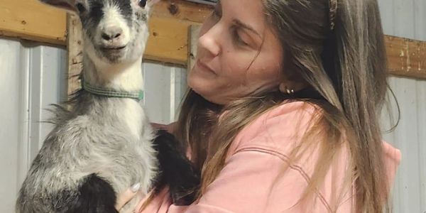 A woman holding a happy goat in a barn.