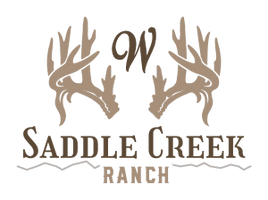 The Williams Saddle Creek