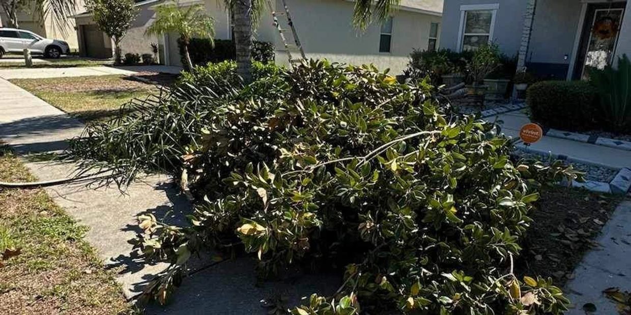 Removing yard debris in Bradenton Florida