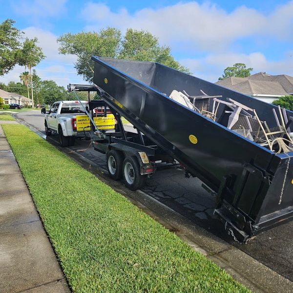 1 Dumpster Rental & Junk Removal in Florida