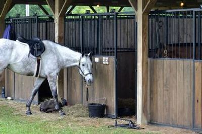 Shrine Horse Show Grounds