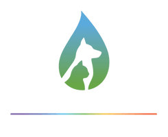 Rainbow Bridge Aquamation