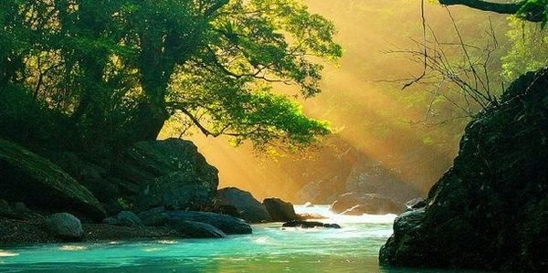 Sunlight beams over a river in a lush forest.