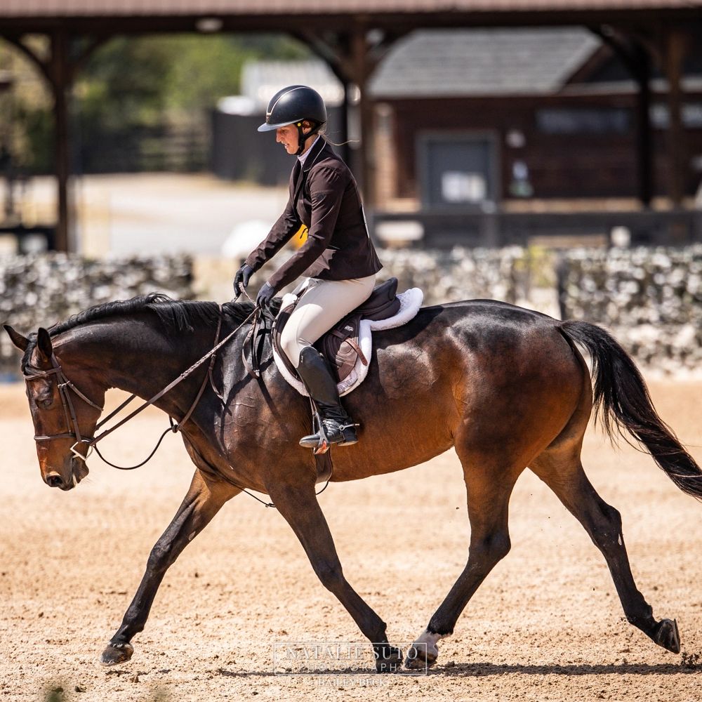 Equestrian rider in black jacket on a brown horse trotting in a sandy arena.