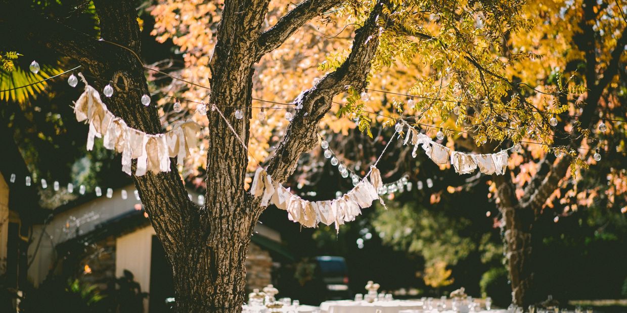 La légèreté des voilages dans les arbres en référence aux feuilles qui bouge grâce au vent.