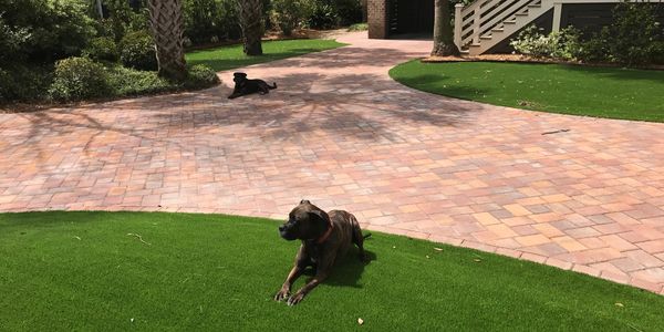 Mount Pleasant, SC pool turf. Artificial turf. Artificial lawn. Pet grass.