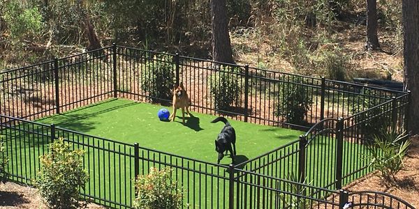 Hollywood, SC pool turf. Artificial turf. Artificial lawn. Pet grass.