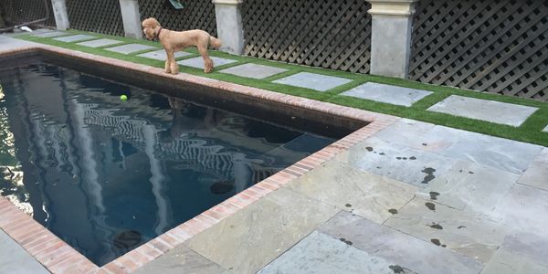 Downtown Charleston, SC pool turf. Artificial turf. Artificial lawn. Pet grass.