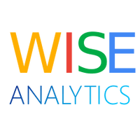 wisebi.solutions