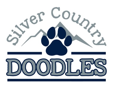 Silver creek golden doodles 2025
