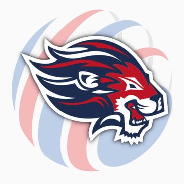 Stylized roaring lion head with red, blue, and white colors.