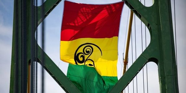 Image Citation: Short, Robert.African Nova Scotian flag, 31/7/2021.CBC, https://tinyurl.com/3n5fbs4x