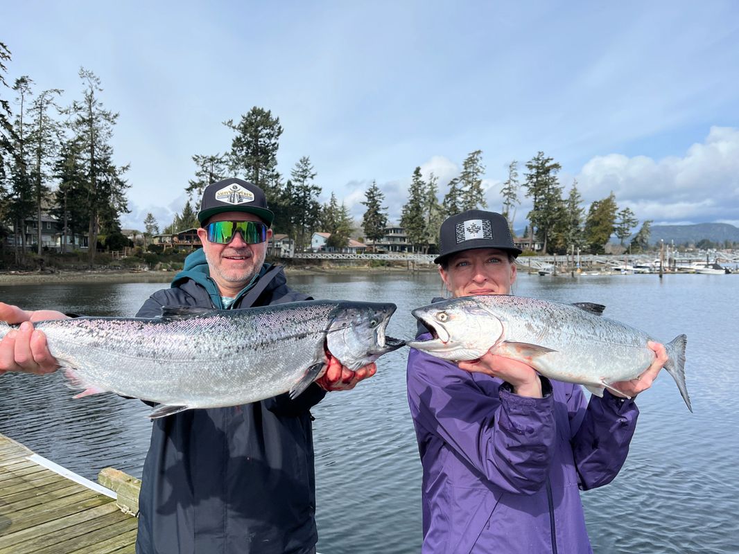 Guests salmon fishing Sooke holding two large King Salmon