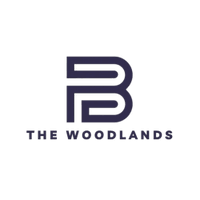 Boys in the Woodlands