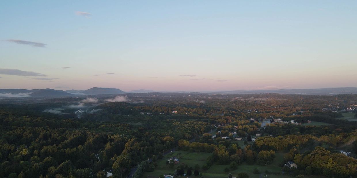 Aerial view of a forested landscape with distant mountains under a clear sky.