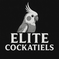 elite cockatiels