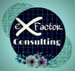 eX Factor Consulting Group