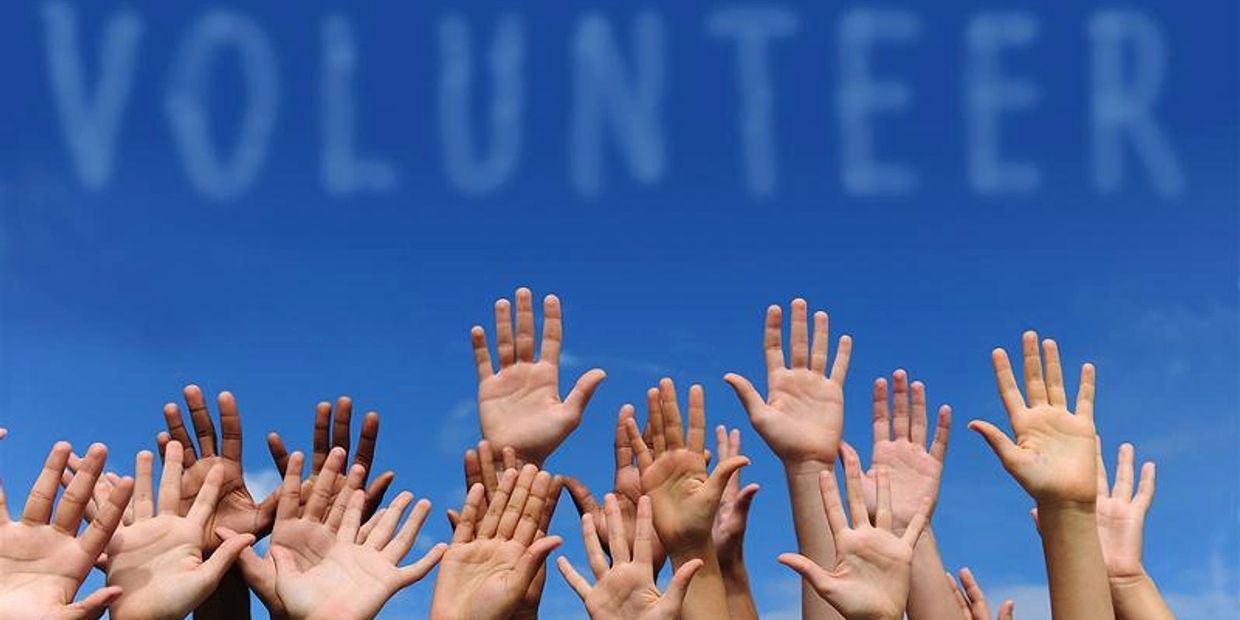 A show of hands to volunteer