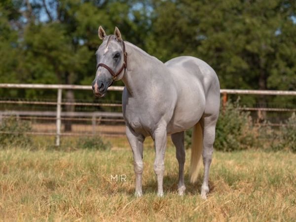 Over $67,000 in progeny earnings!