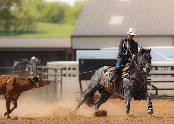 The Darkk Side AQHA World Champion Stallion
#WelcometotheDarkkSide