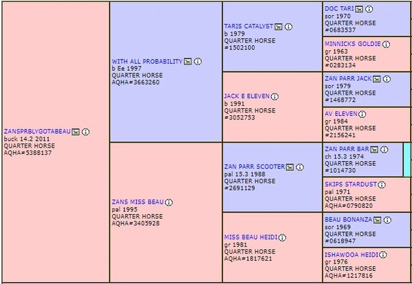 Zansprblygottabeau AQHA Mare by With all Probability Pedigree