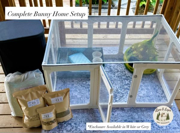 Complete bunny home setup with enclosure, food, and accessories.