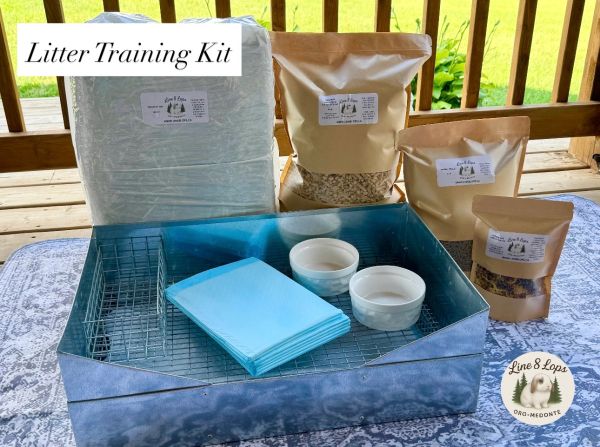 Kit for training pets to use litter shown outdoors.