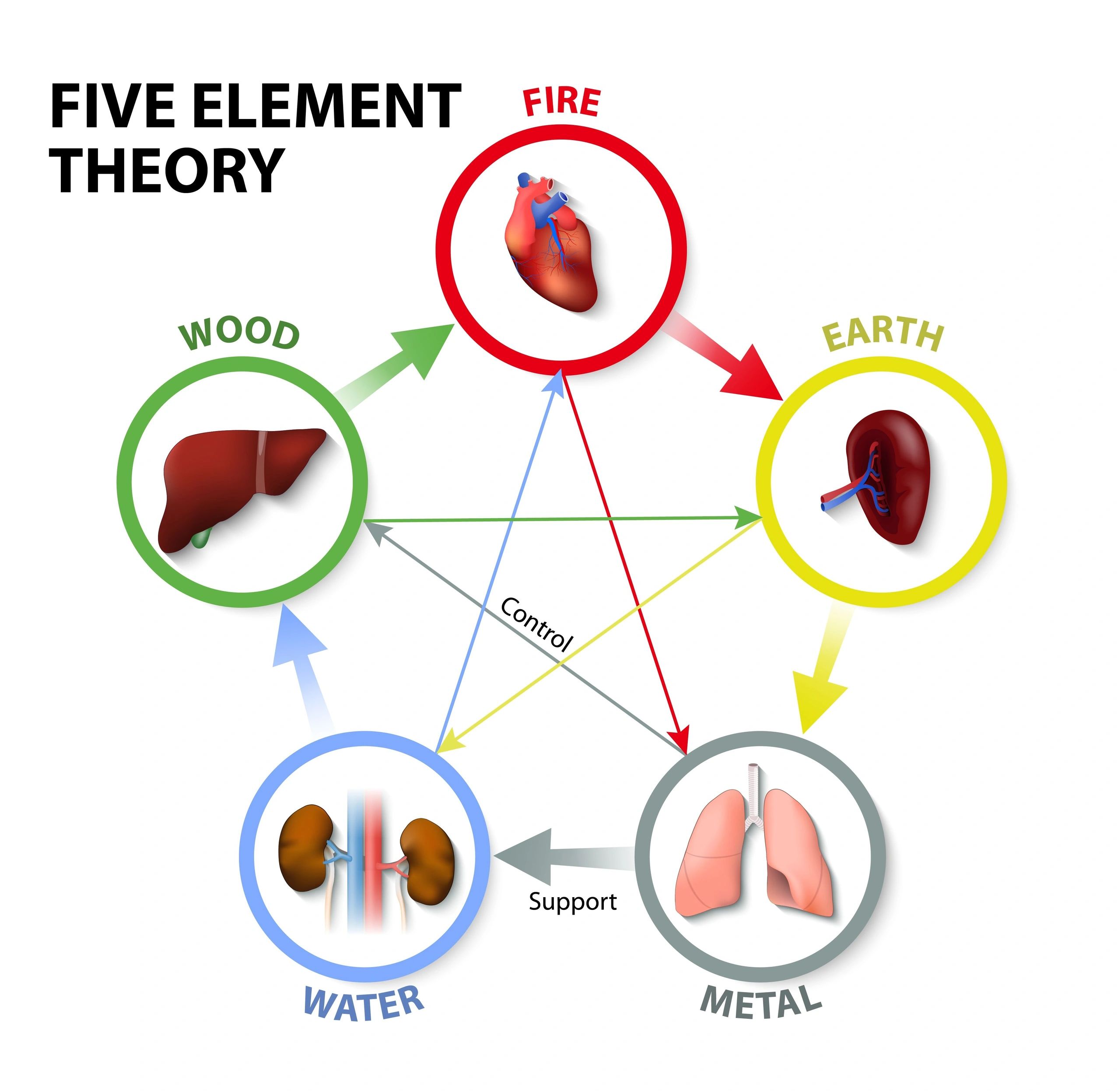 An introduction to Five Element Theory