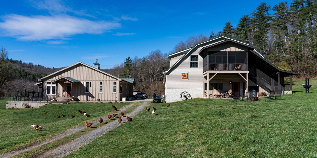 Rural farmhouses with chickens roaming on a sunny day.
