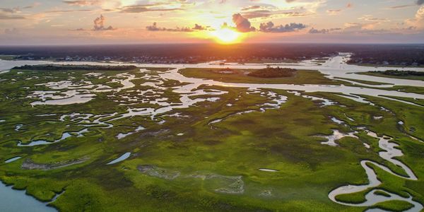 Blue Heron Charters | Eco Tours | Guided Boat Tours | Fishing | Surf Lessons | Topsail Island | Nort