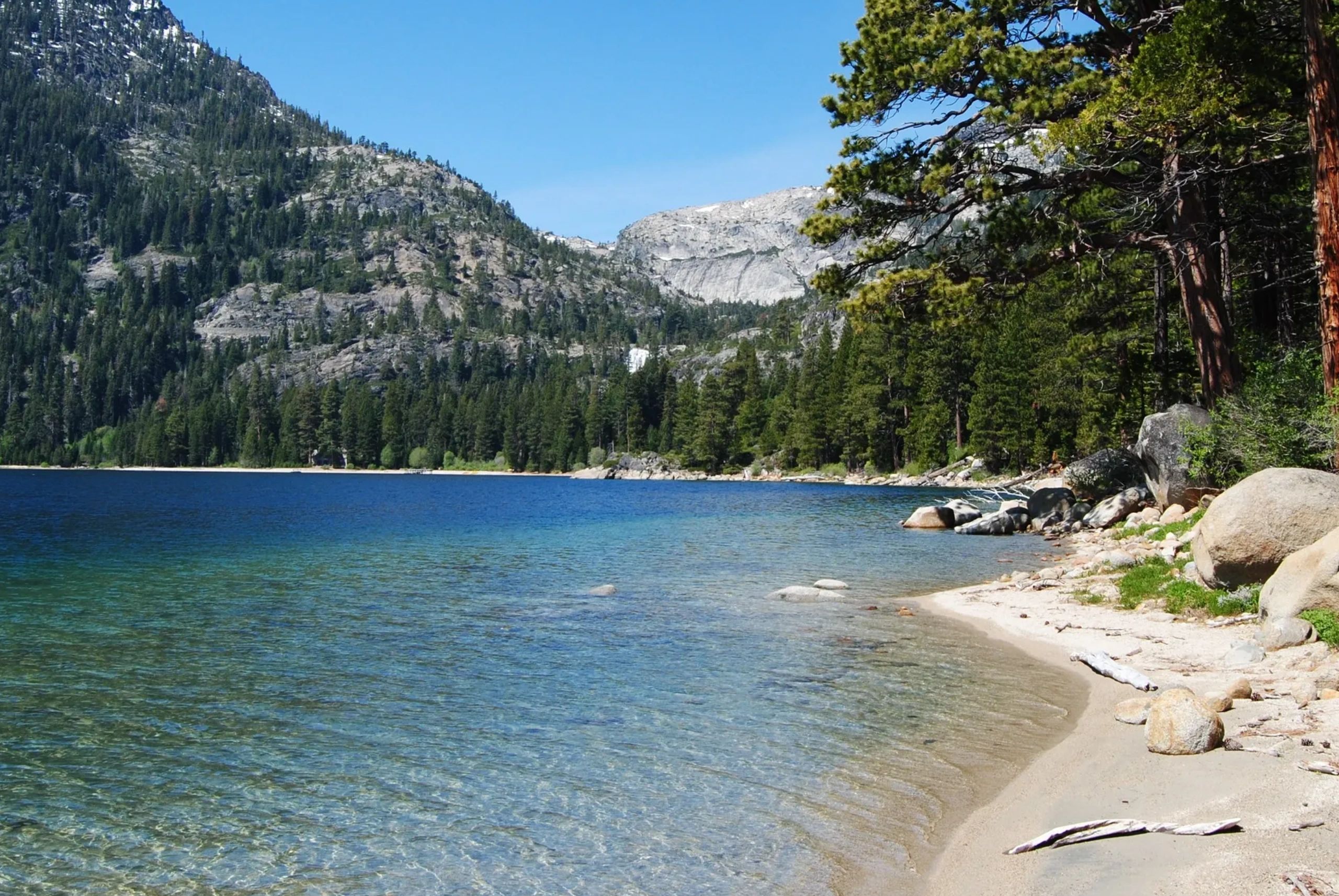 Scott A Lamer CPA LLC