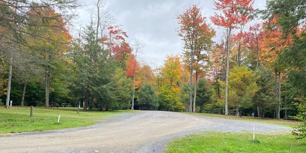 Potter County Family Campground