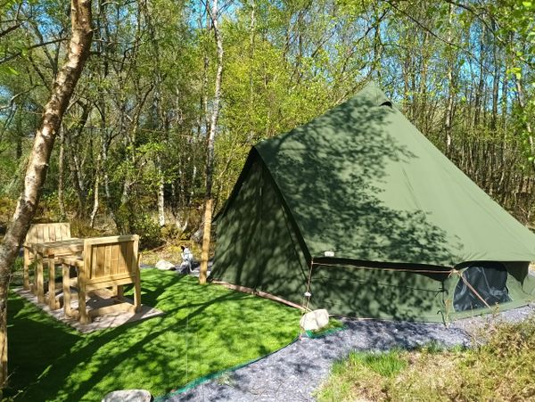 Green camping tent set in a sunny forest clearing with wooden chairs nearby.