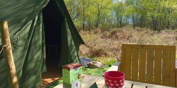 Green camping tent set in a sunny forest clearing with a wooden table and chair.