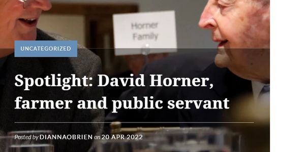 website headline for David Horner story