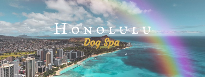 Honolulu Dog Spa