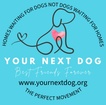 Your Next Dog
