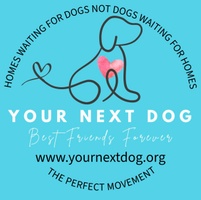 Your Next Dog
