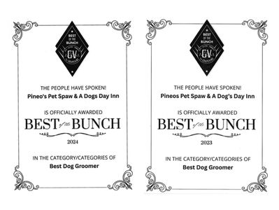 Two awards for Pineos Pet Spaw &amp; A Dogs Day Inn as Best Dog Groomer in 2023 and 2024.