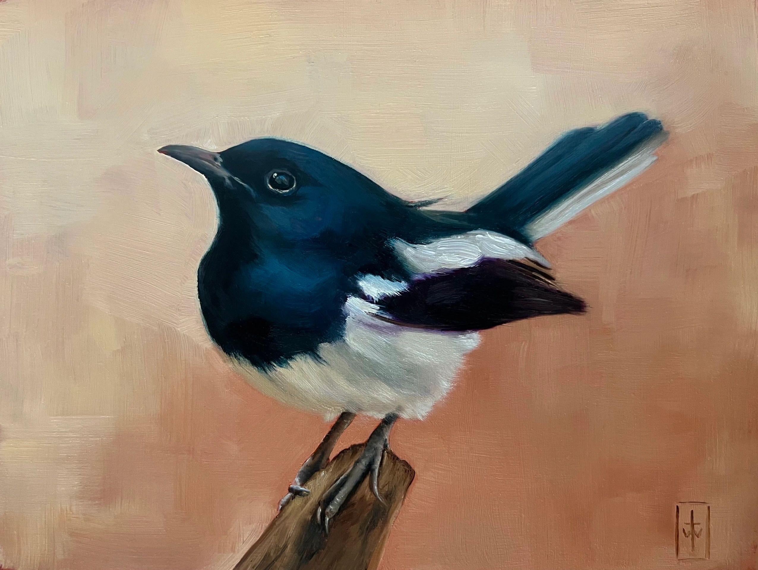 Oil painting of black and white bird perched on branch with pink background