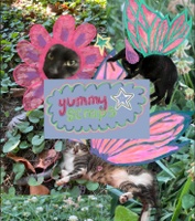 YummyScraps