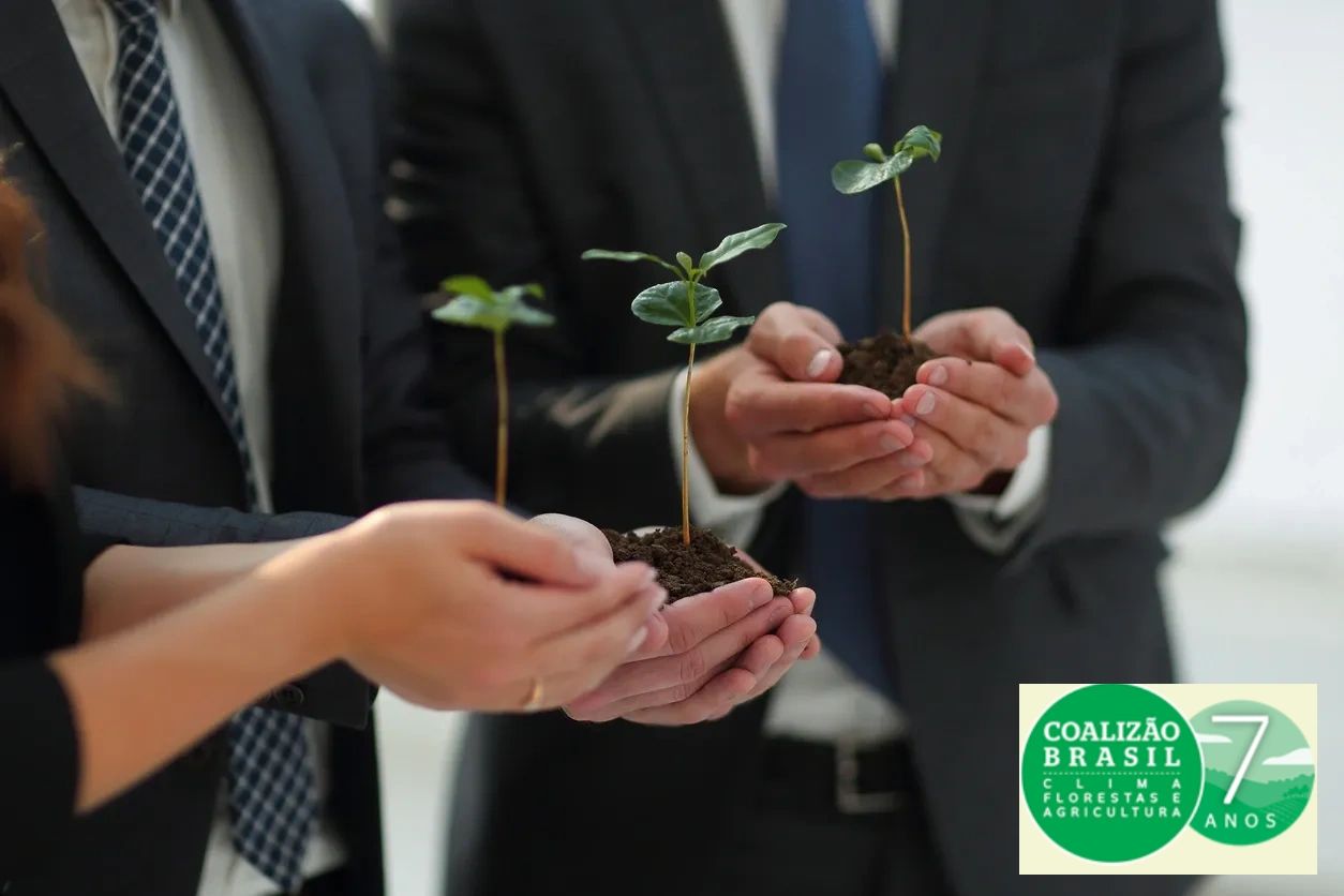Conciliare Consultoria Socioambiental