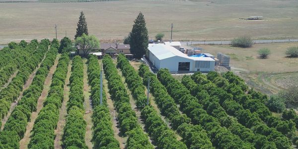 Packing House for Sale on 5 acres