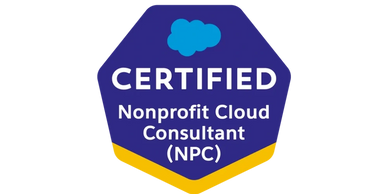 Certified Nonprofit Cloud Consultant