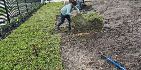 Person laying sod on a muddy field.