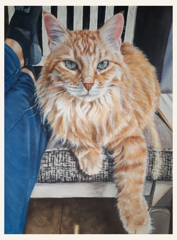 Fluffy orange cat lying beside a person on a chair.