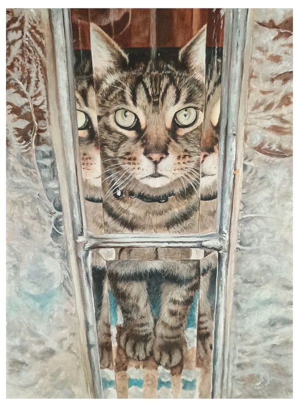 Cat's face reflected in the glass.